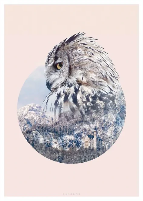 GEO Owl