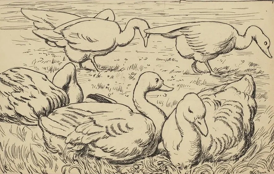 Gans