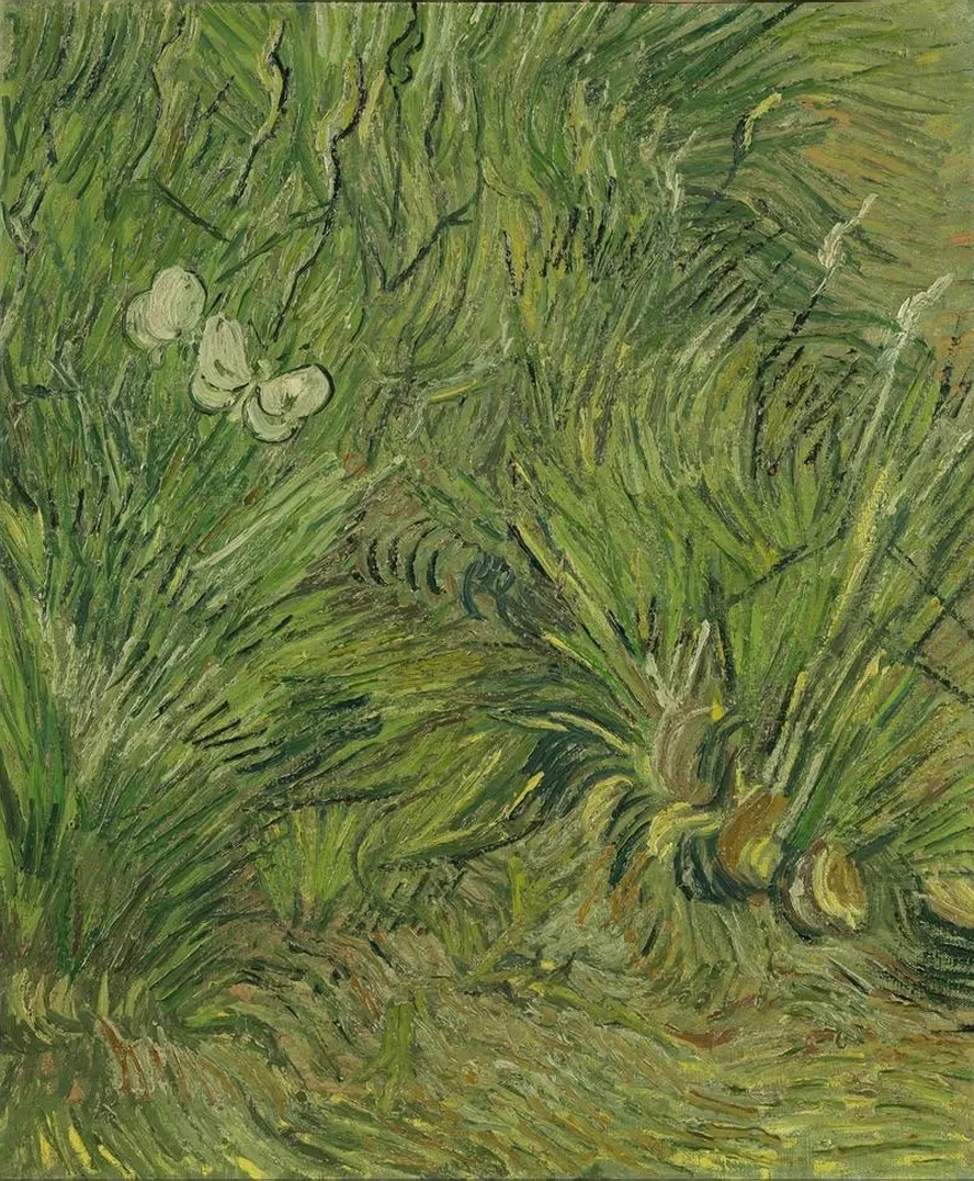 Garden with Butterflies