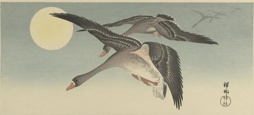 Geese at Full Moon
