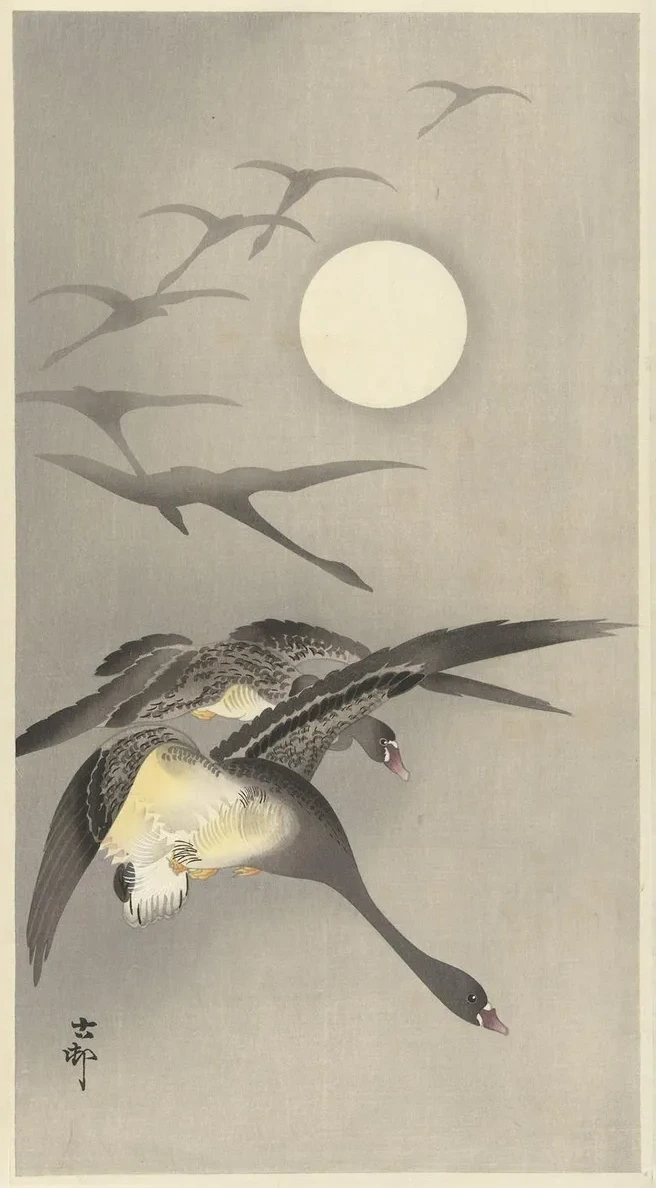 Geese at Full Moon
