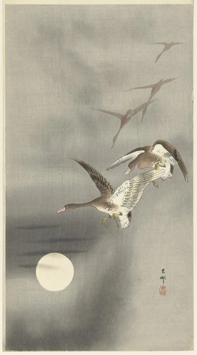 Geese in Flight