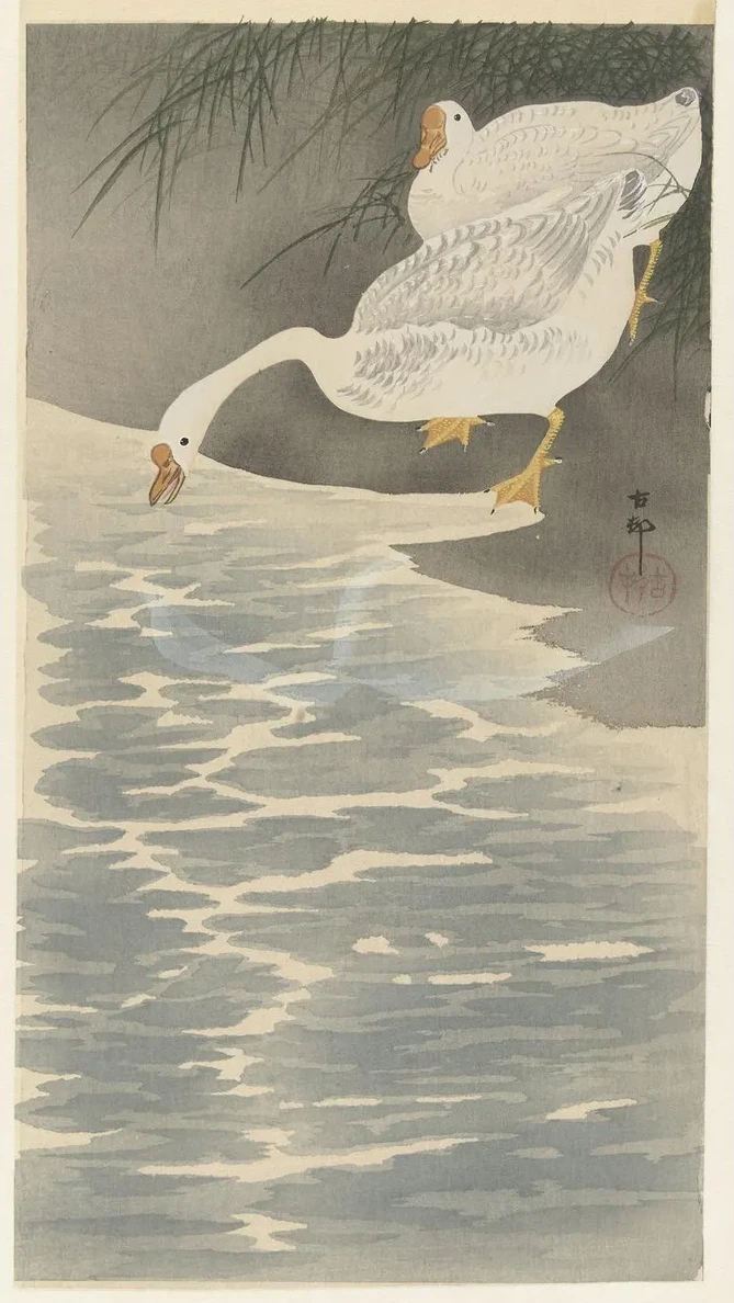 Geese on the Bank
