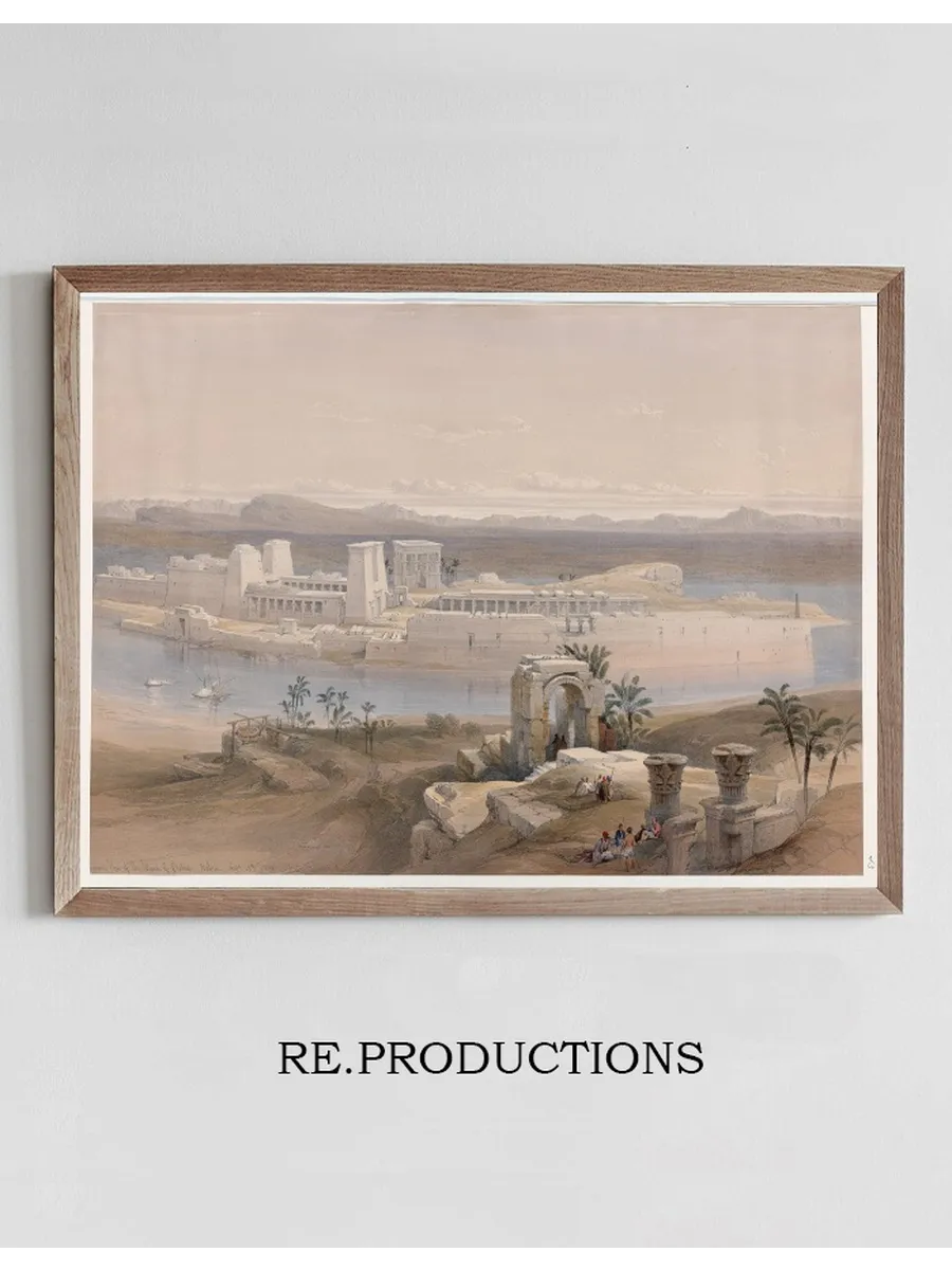 General view of the Island of Phil, Nubia. Nov. 18th, 1838