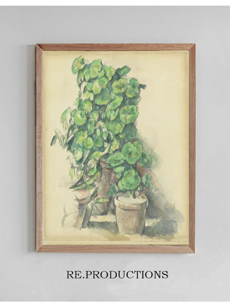 Geraniums
