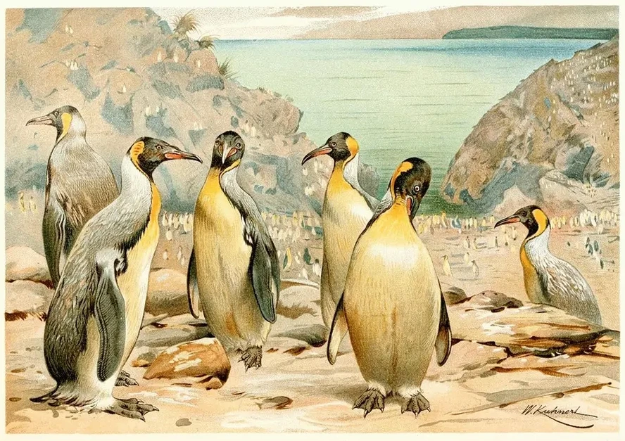 Giant Penguins