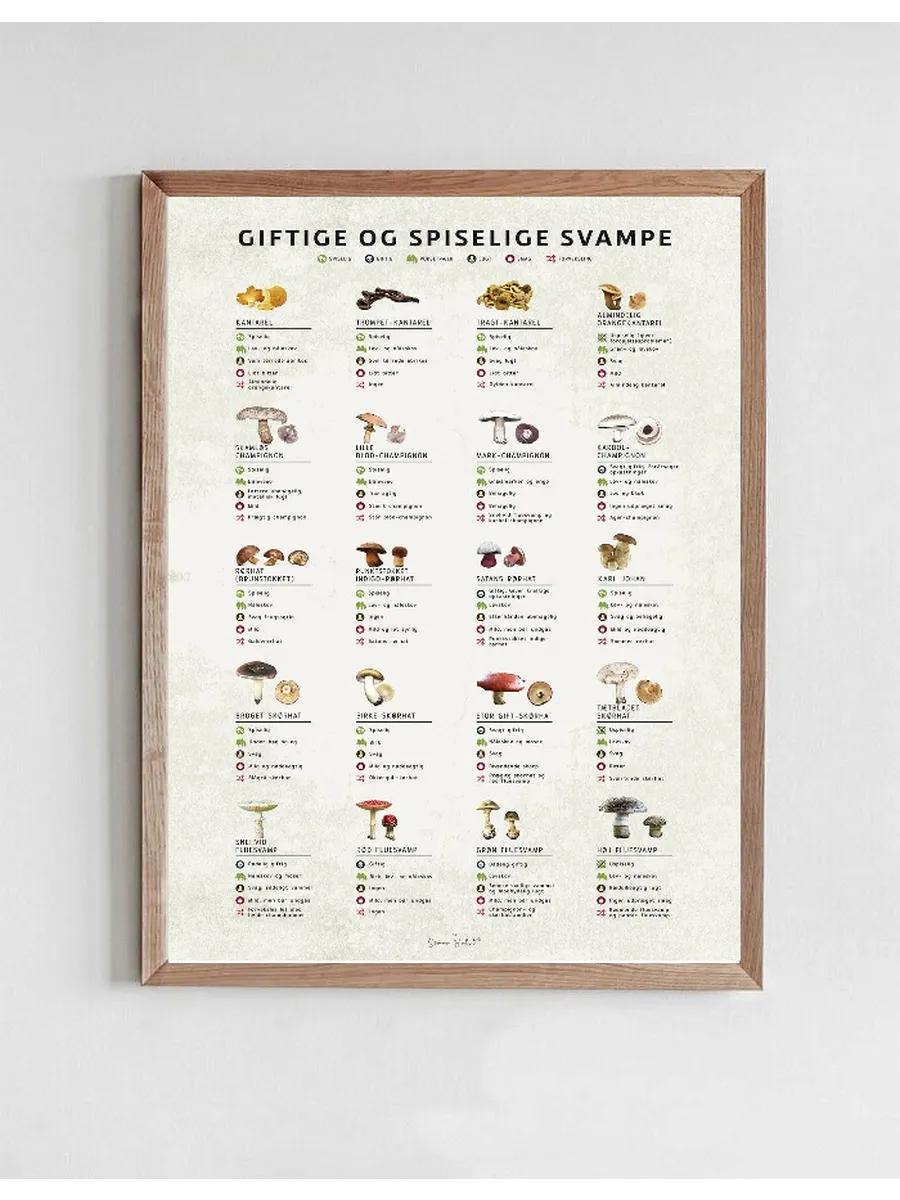 Giftige Og Spiselige Svampe
