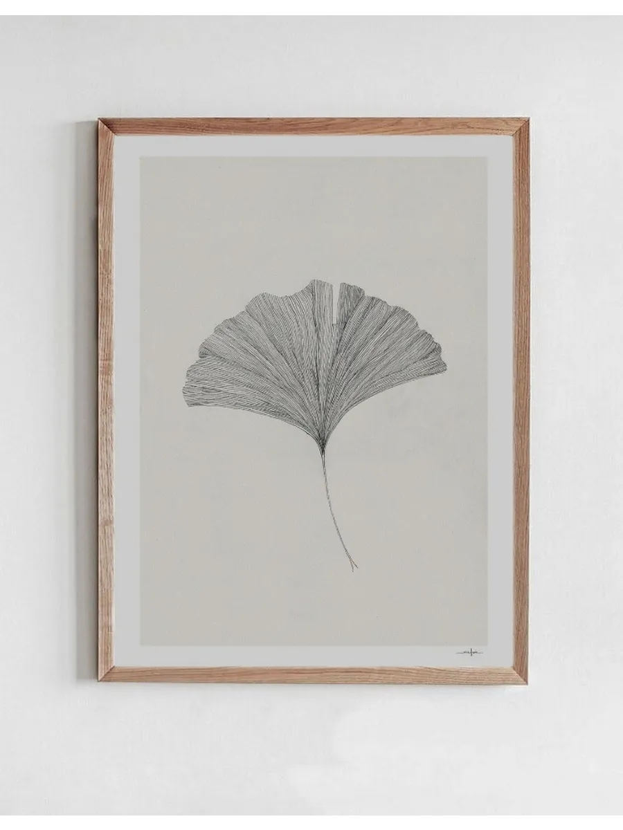 Ginkgo Leaf