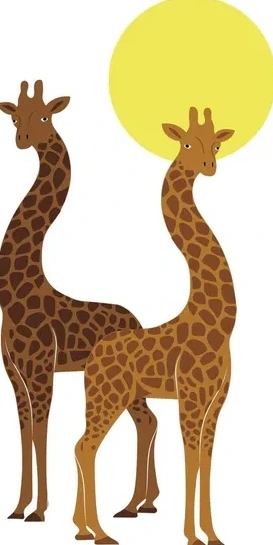 Giraffes
