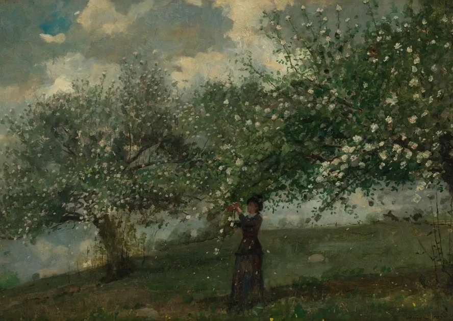 Girl Picking Apple Blossoms