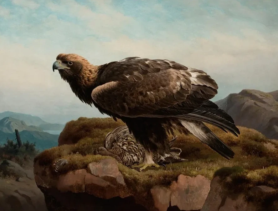 Golden Eagle At A Cliff's Edge
