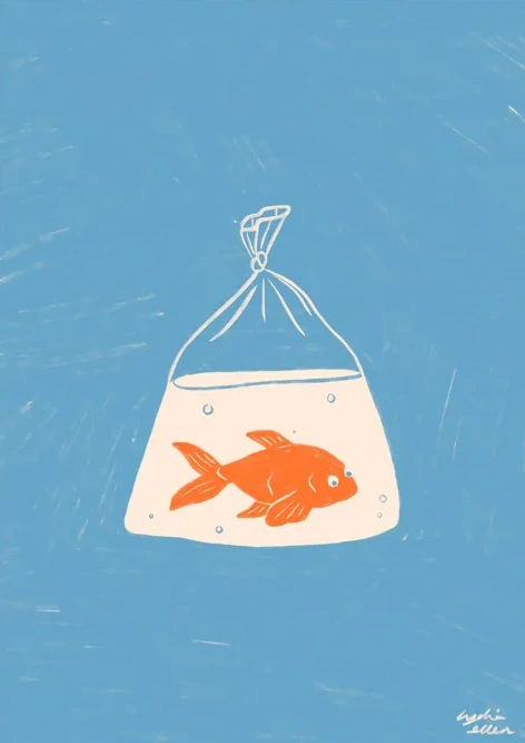 Goldfish