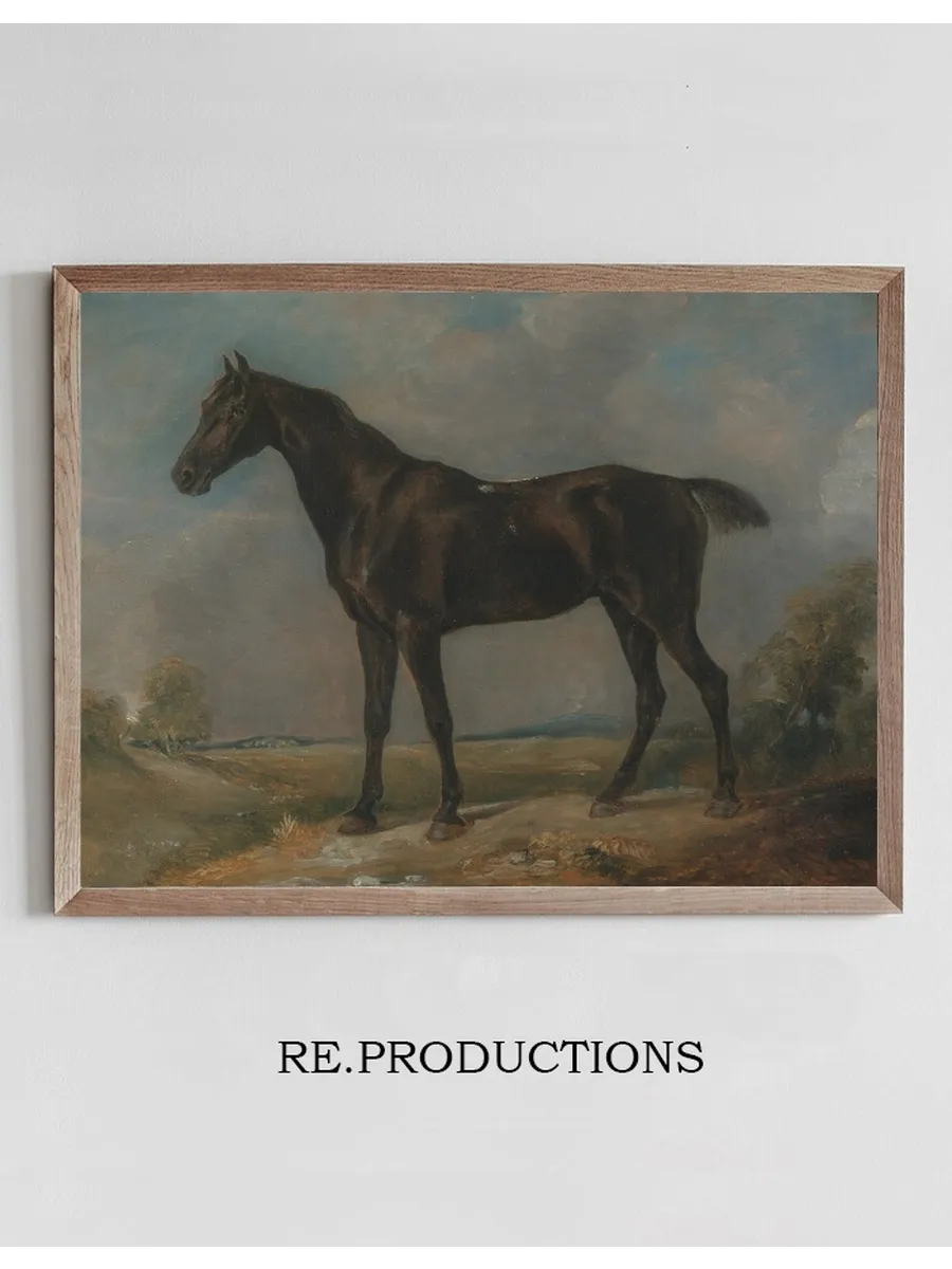 Golding Constable's Black Riding - Horse