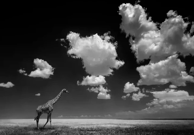 Gone with the Clouds