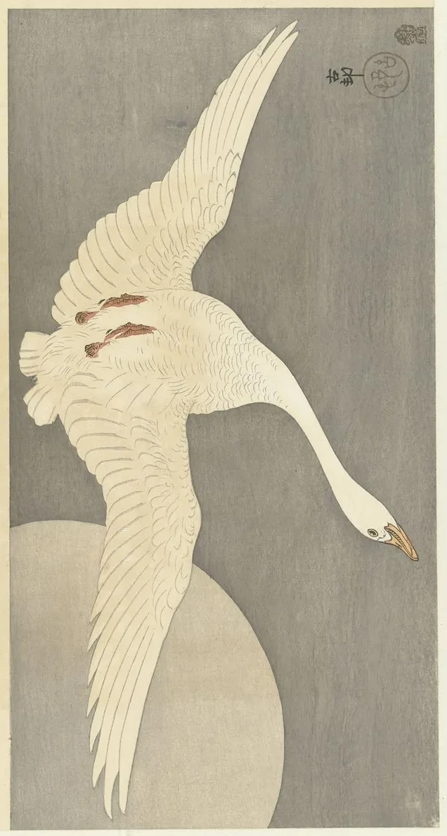 Goose at Full Moon