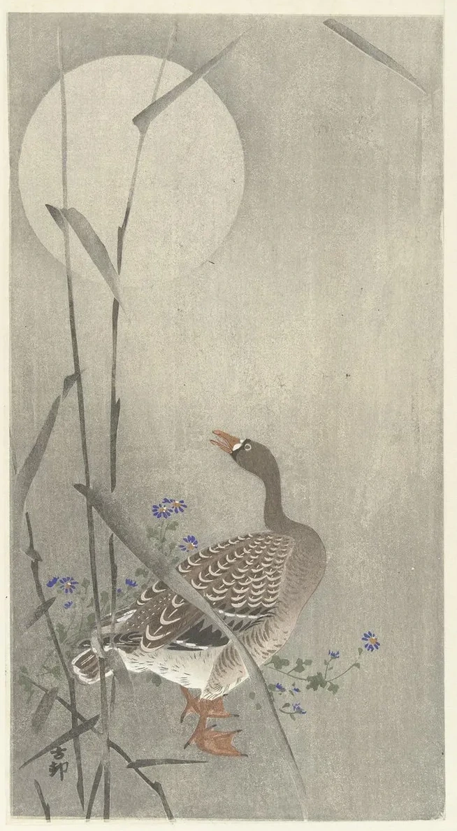 Goose at Full Moon