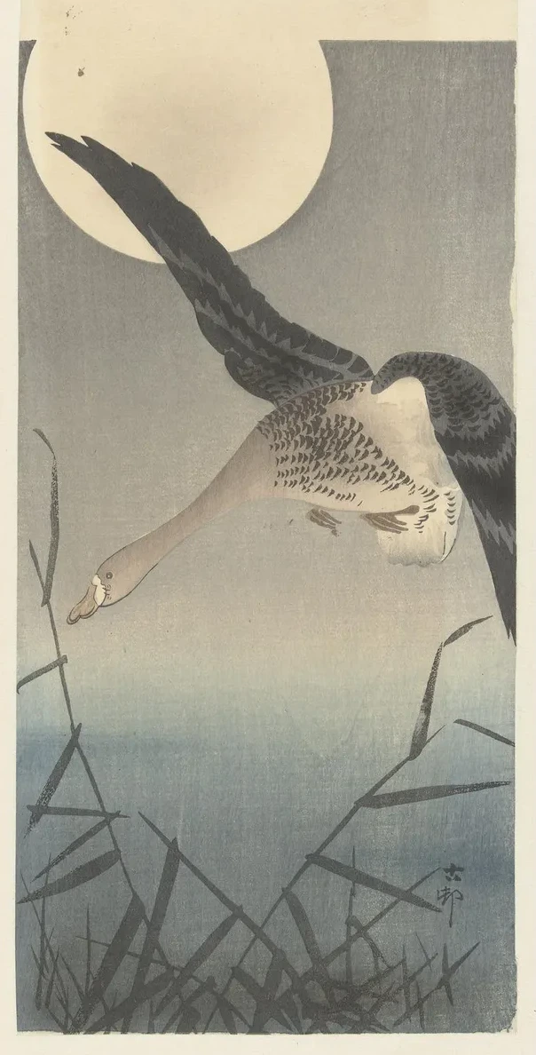 Goose