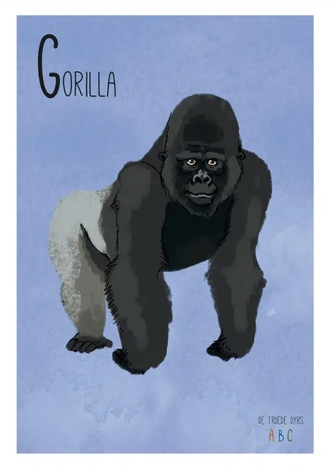 Gorilla