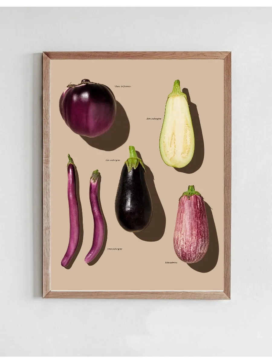 Gr Ntsager - Aubergine