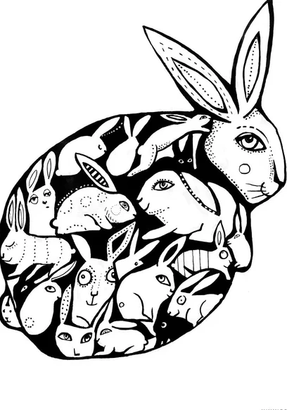 Graphic Rabbit