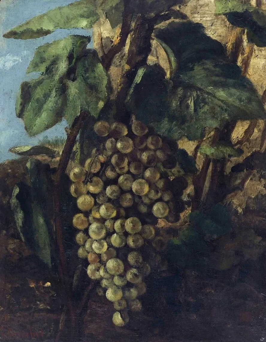 Grappe De Raisins