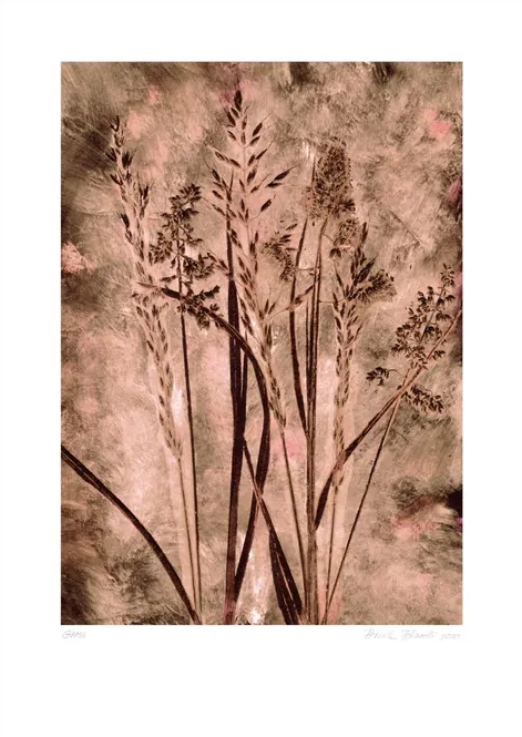 Grass - Dark blush