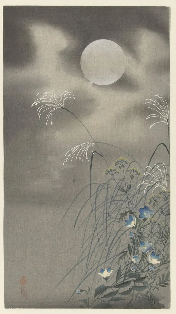 Grasses and Flowers at Full Moon