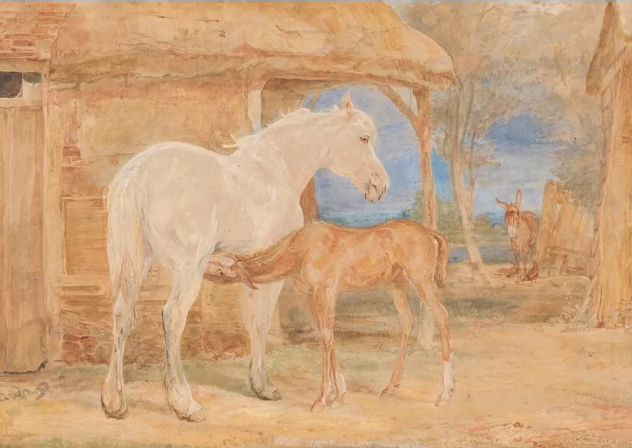 Gray Mare and a Chestnut Foal