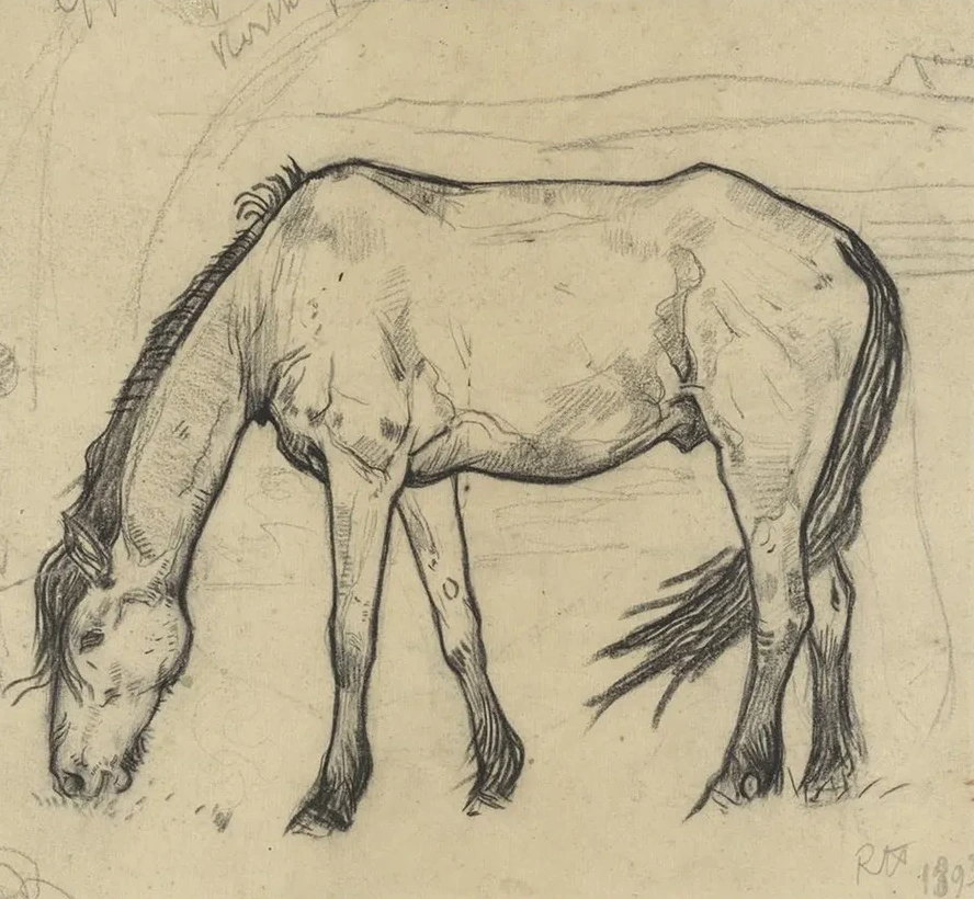 Grazend Paard Te Noordwijk