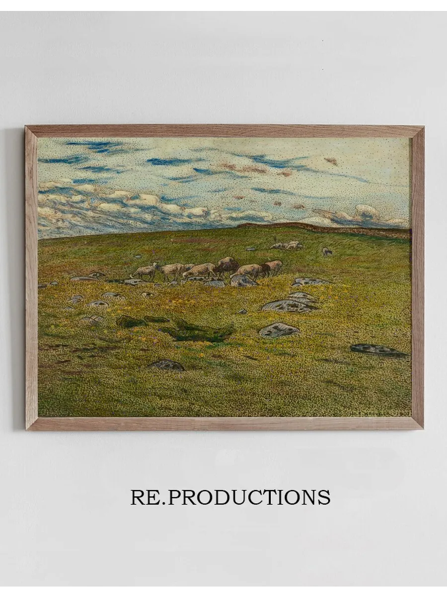 Grazing Sheep