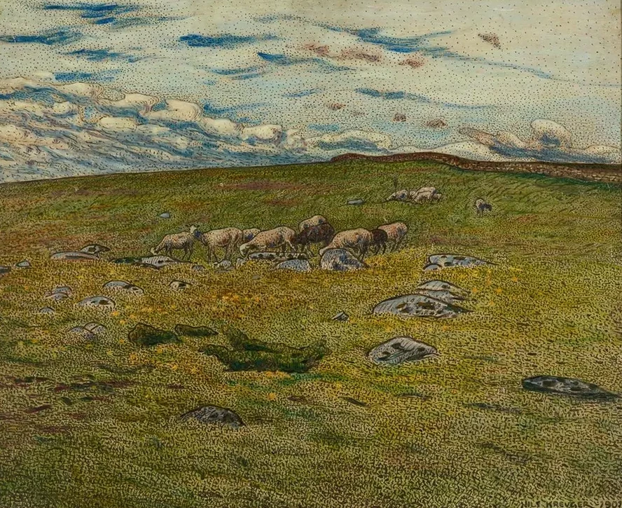 Grazing Sheep