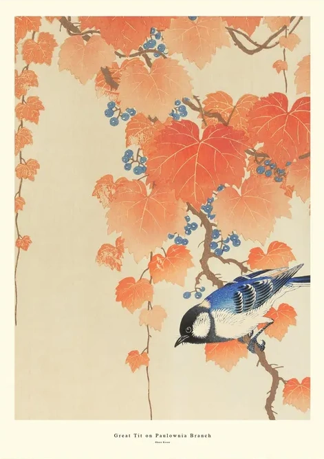 Great Tit on Paulownia Branch