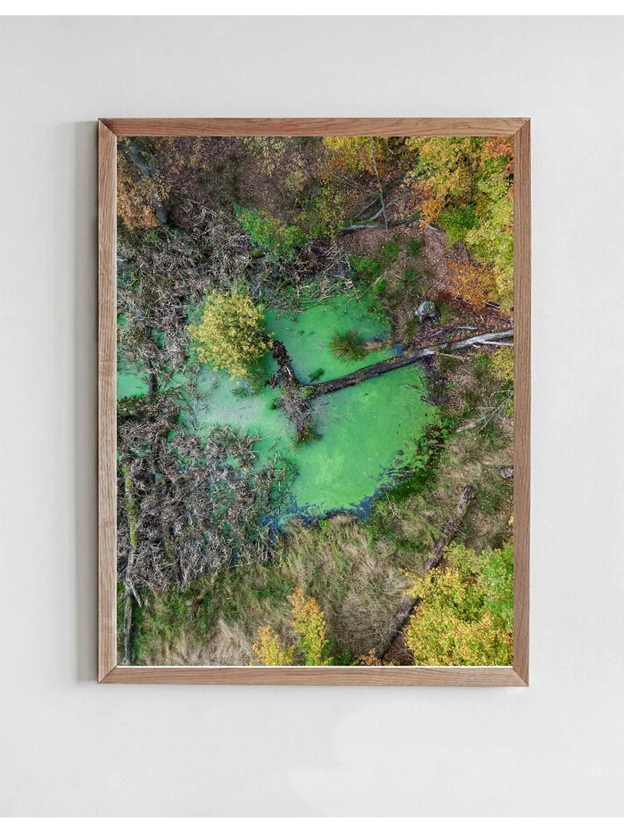 Green Pond No.1