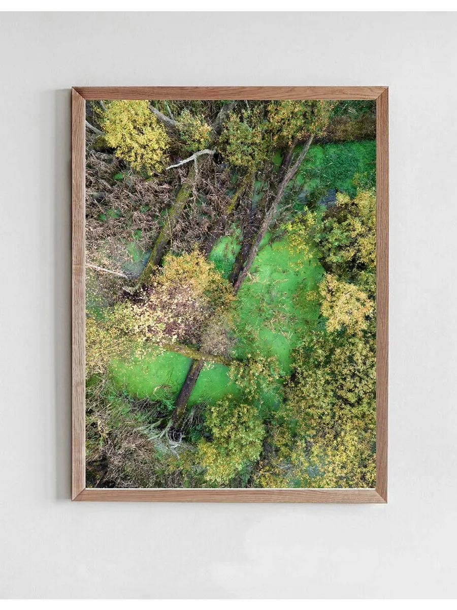 Green Pond No.2