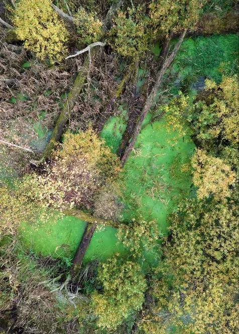 Green Pond No.2