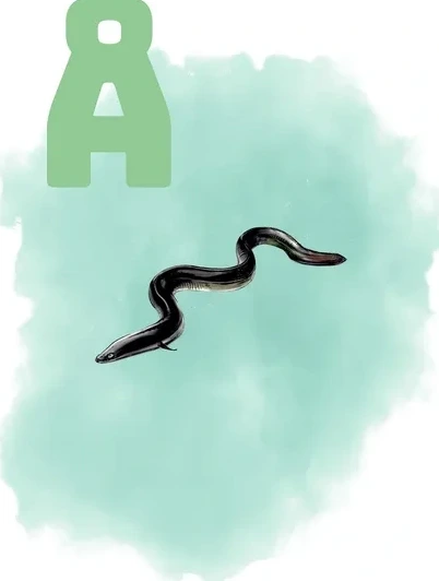 Green L
