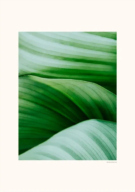 Greens