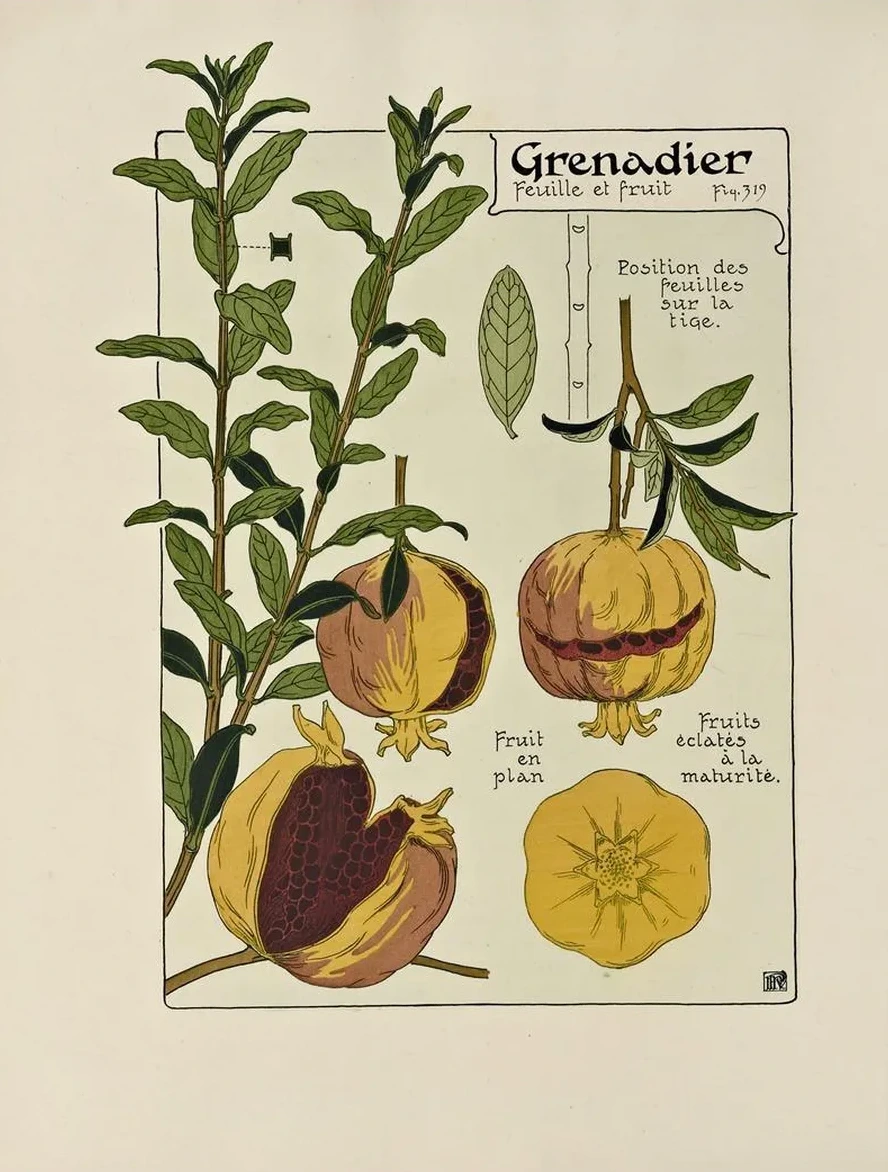Grenadier