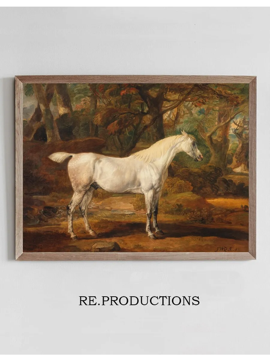 Grey Arabian Stallion, the Property of Sir Watkin Williams - Wynn