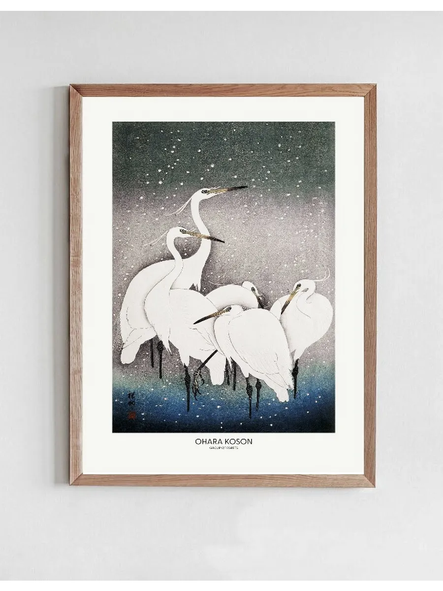 Group Of Egrets