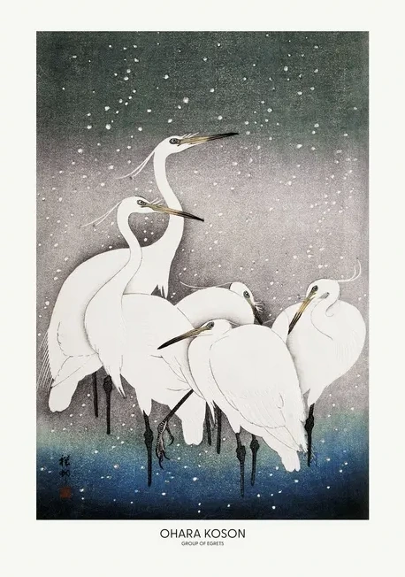 Group Of Egrets