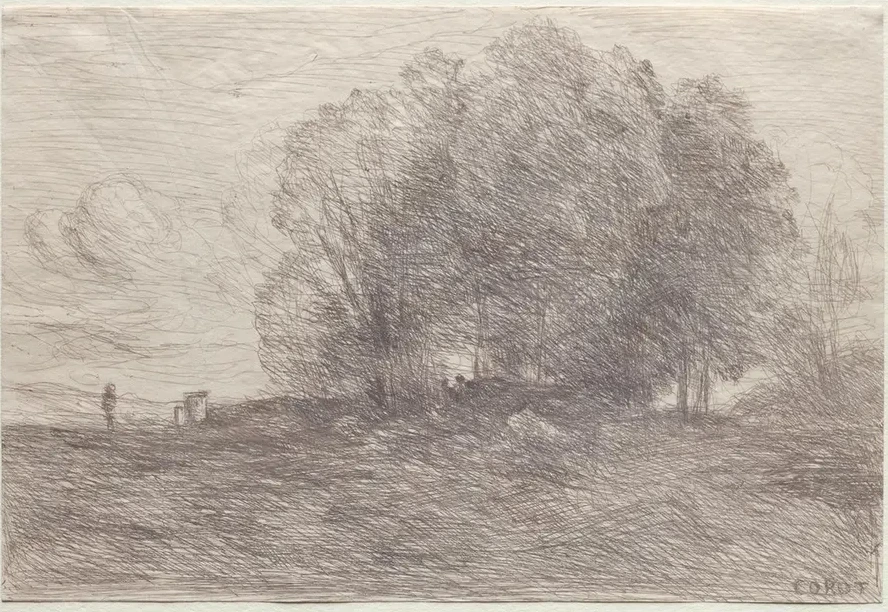 Group of Trees