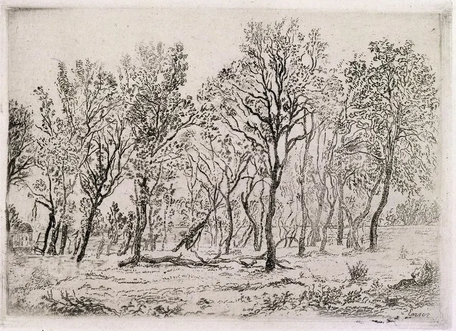 Group of Trees