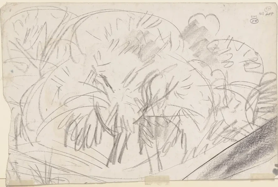 Group of Trees
