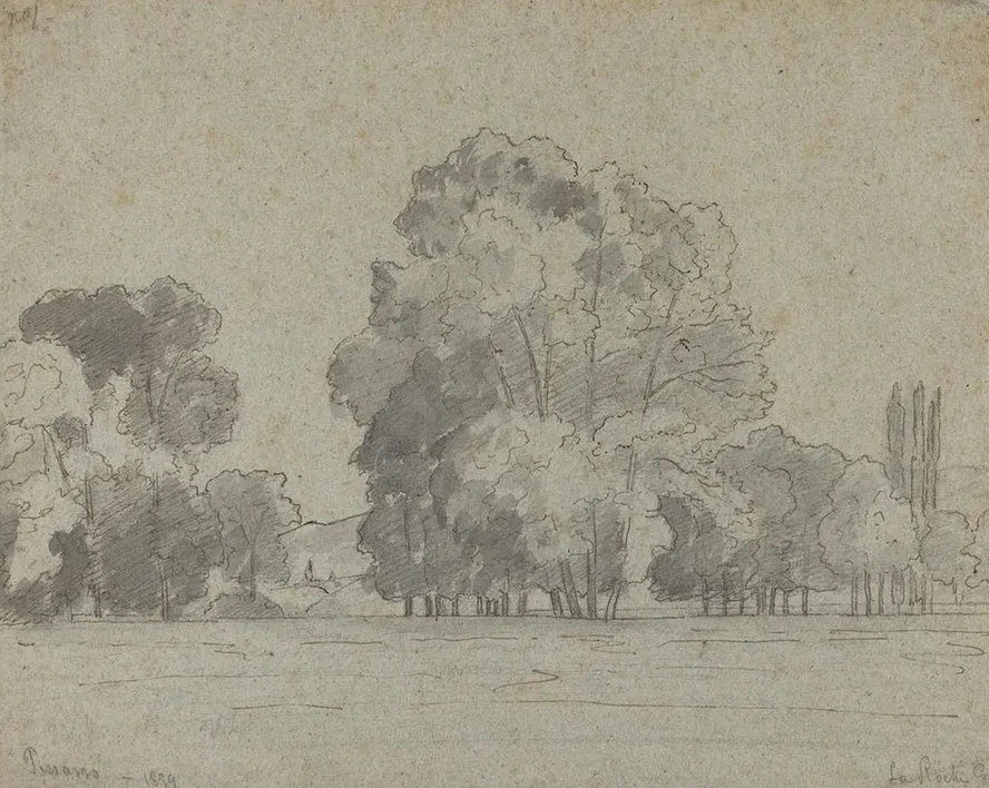 Grove of Trees