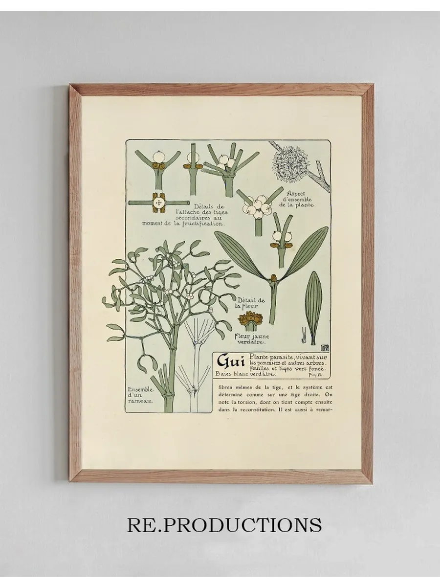 Gui
