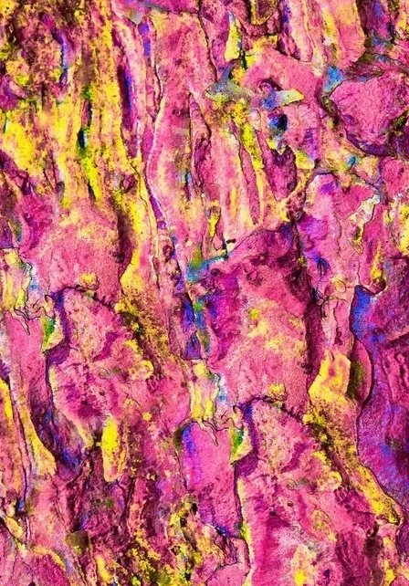 Gul Og Pink Bark