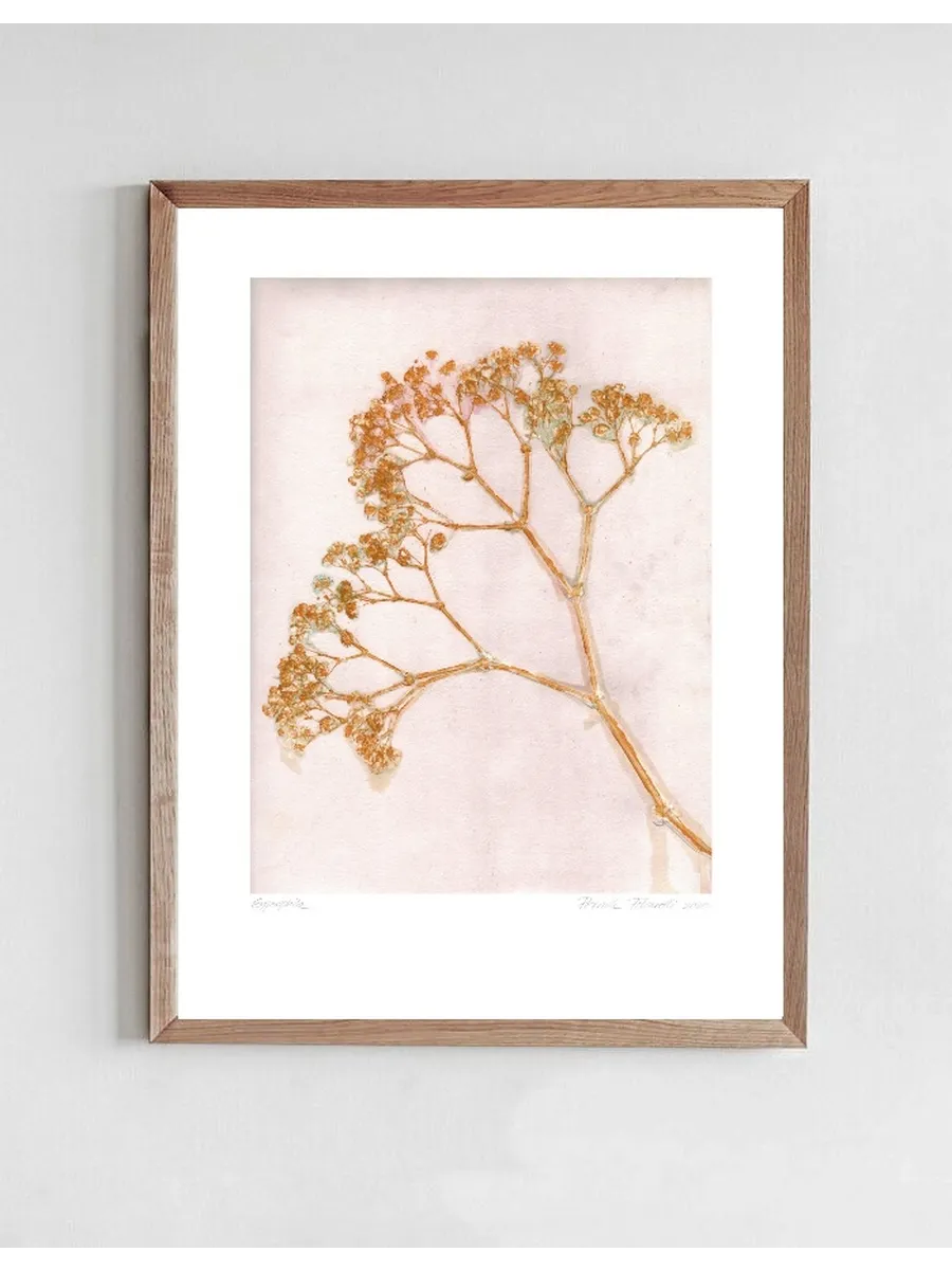 Gypso - Ochre