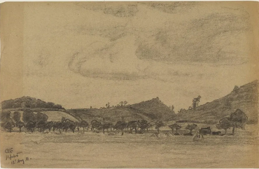H Gelige Landschaft Mit Baumreihe