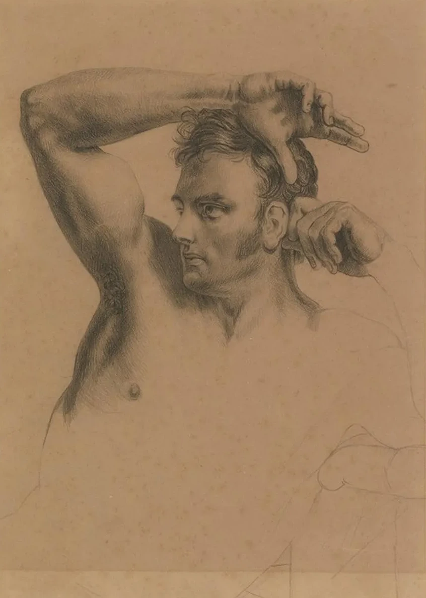 Half - Length MaleNude